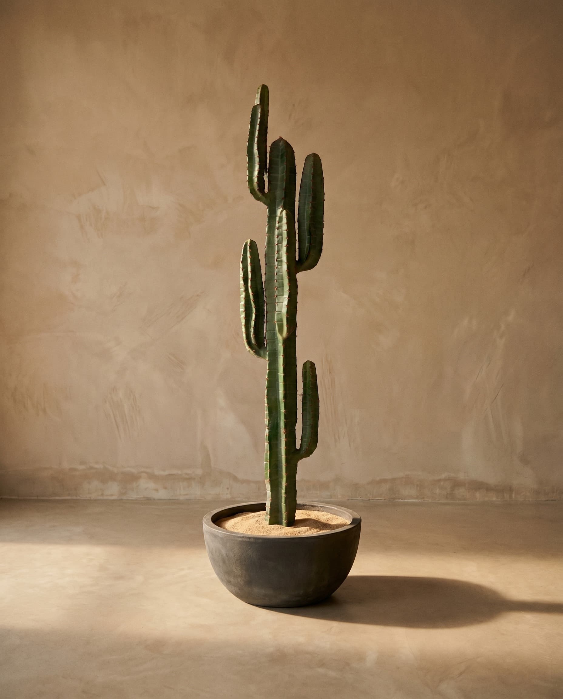 The Cereus Column · 1.61m