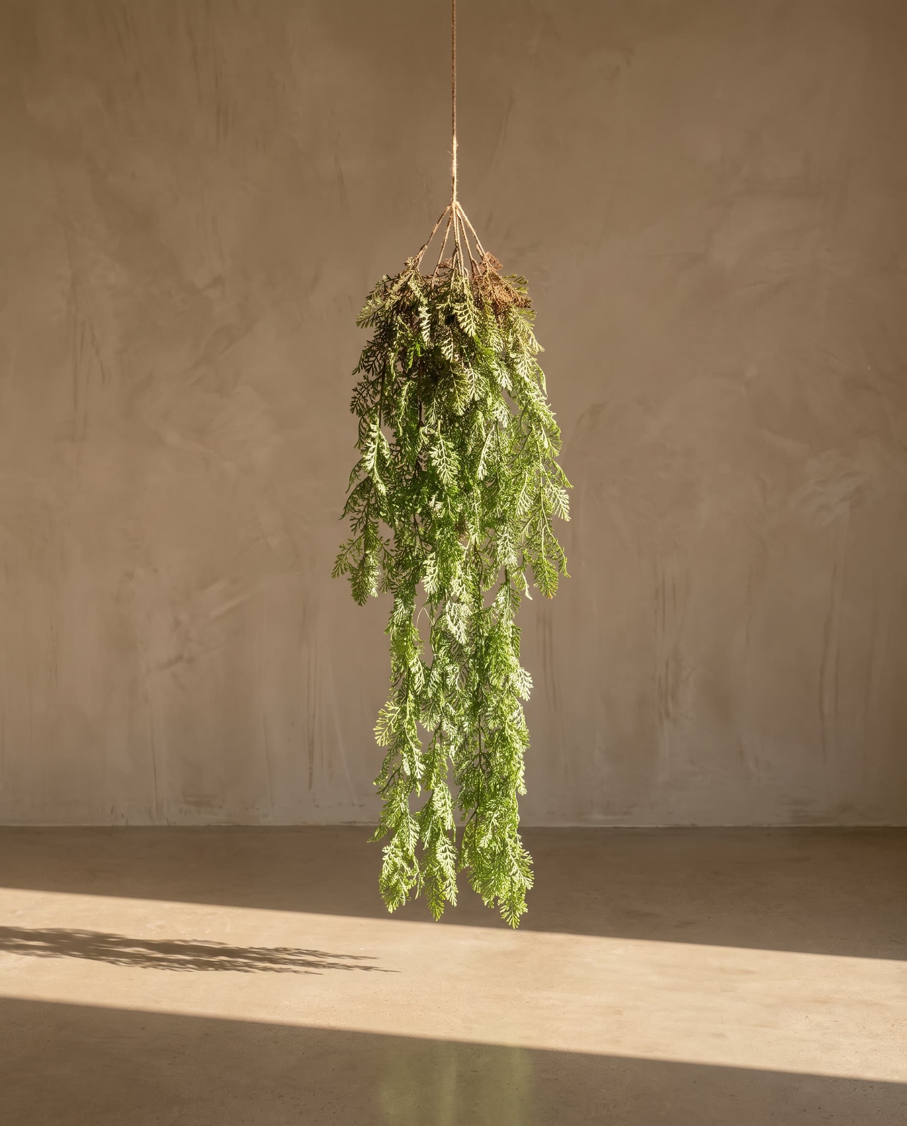The Hanging Greenery (type 6) long