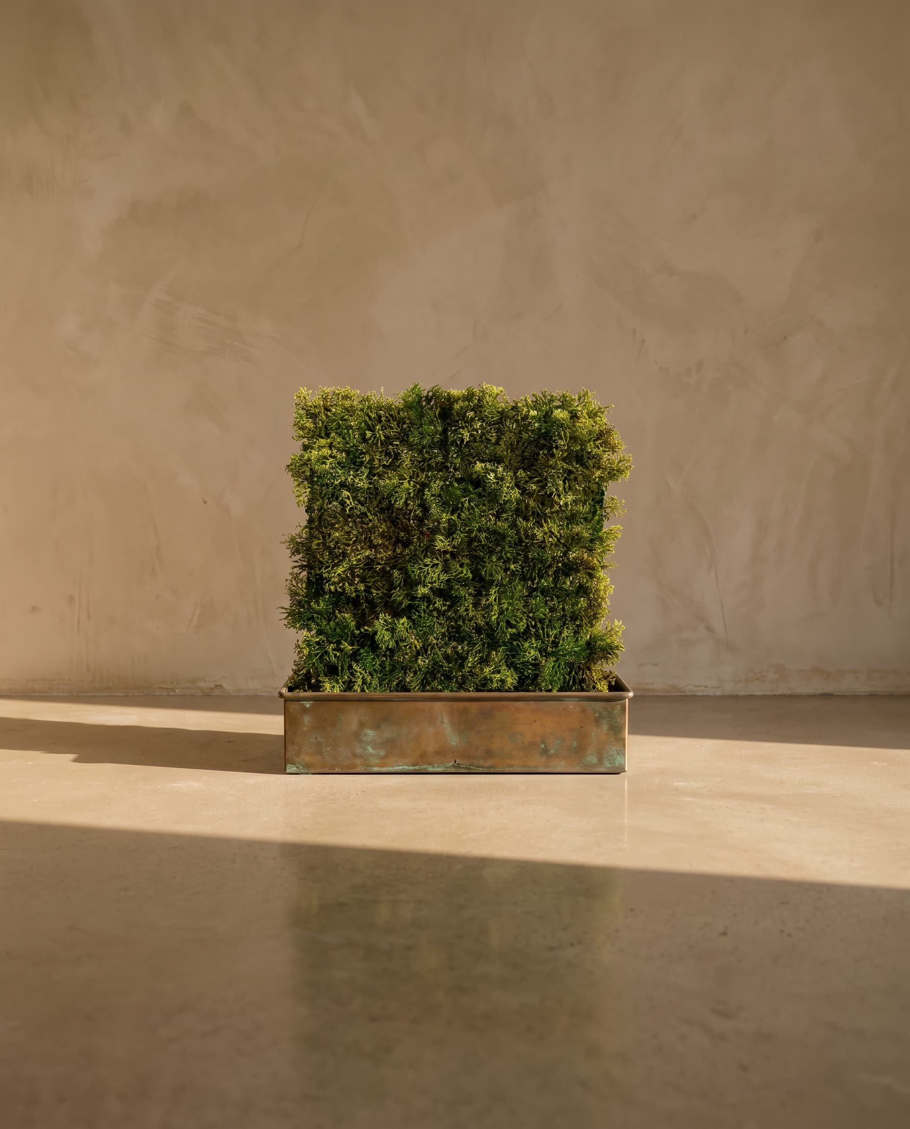The Reindeer Moss Yagel panel 24,5 * 24, · 5cm