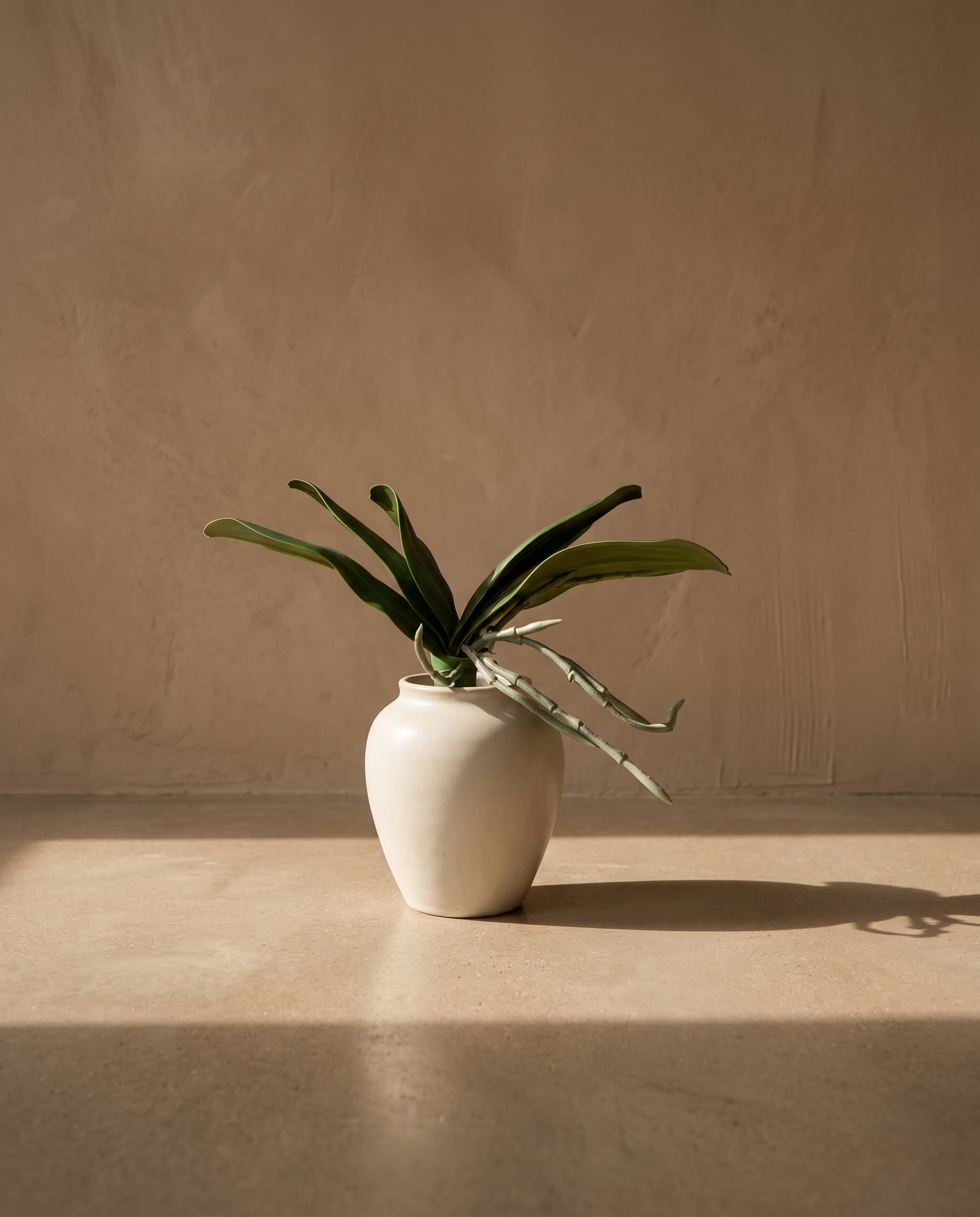 The Orchid Leaves (7.8 inches)