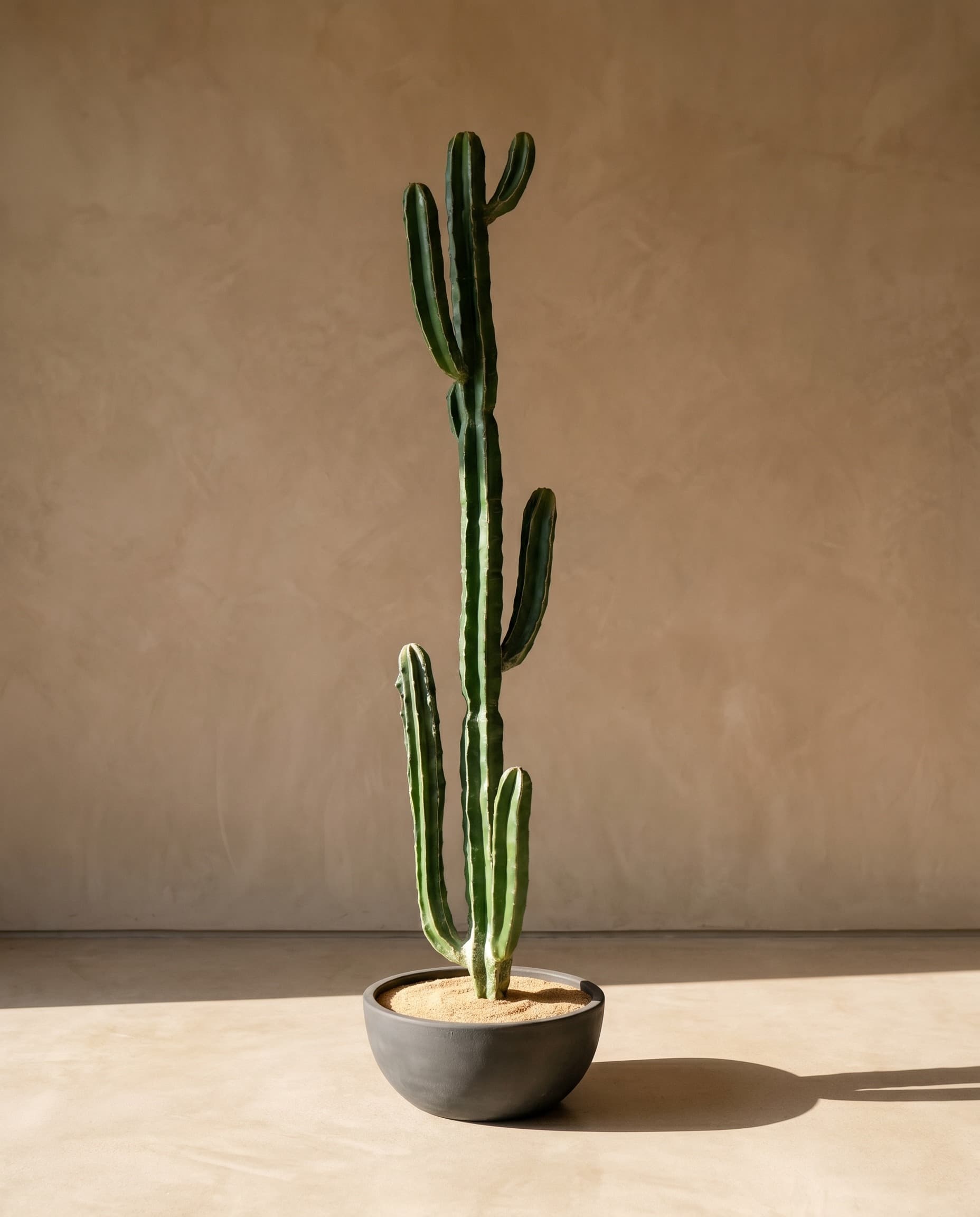 The Cereus Column · 1.47m