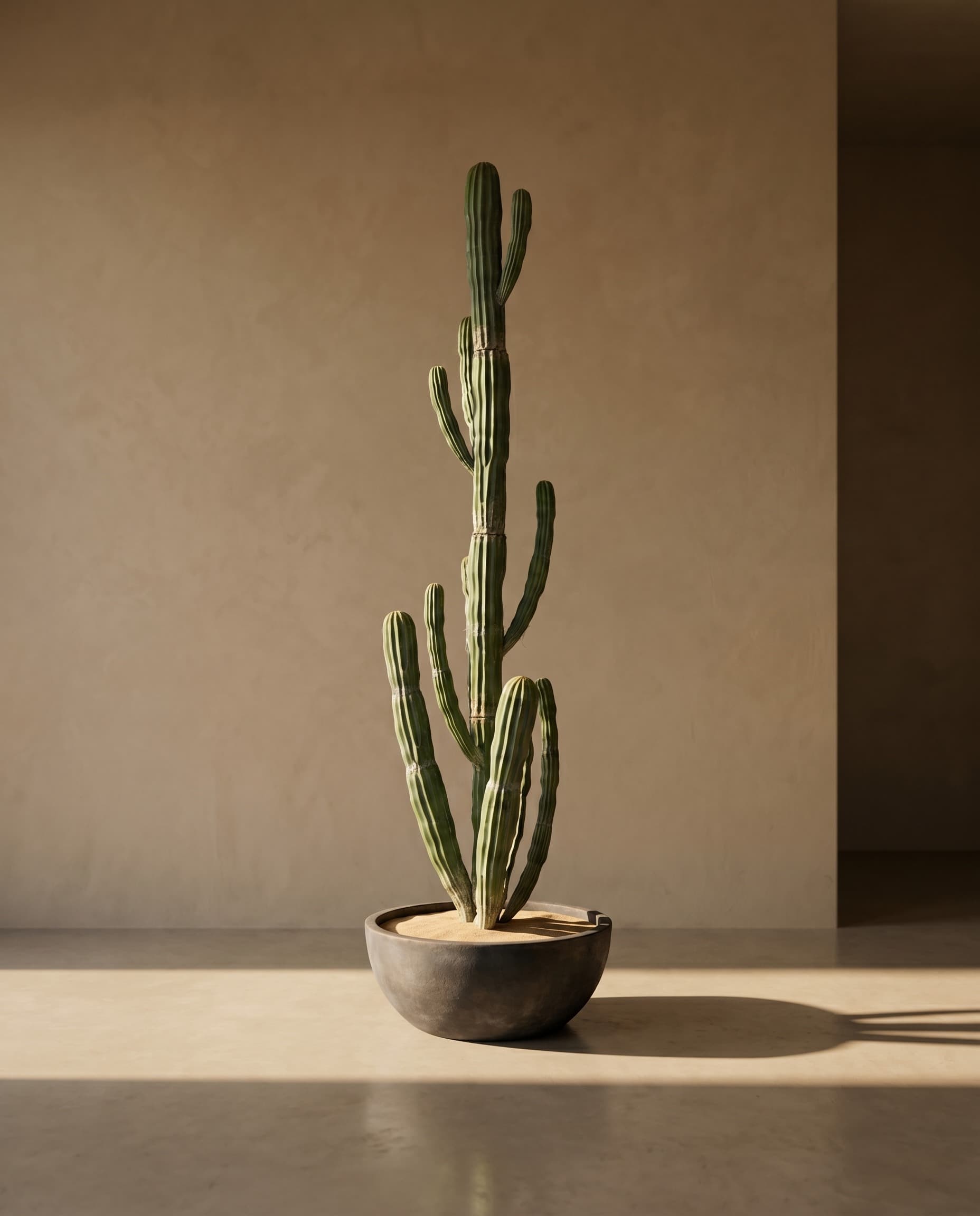 The Desert Giant · 3.1m
