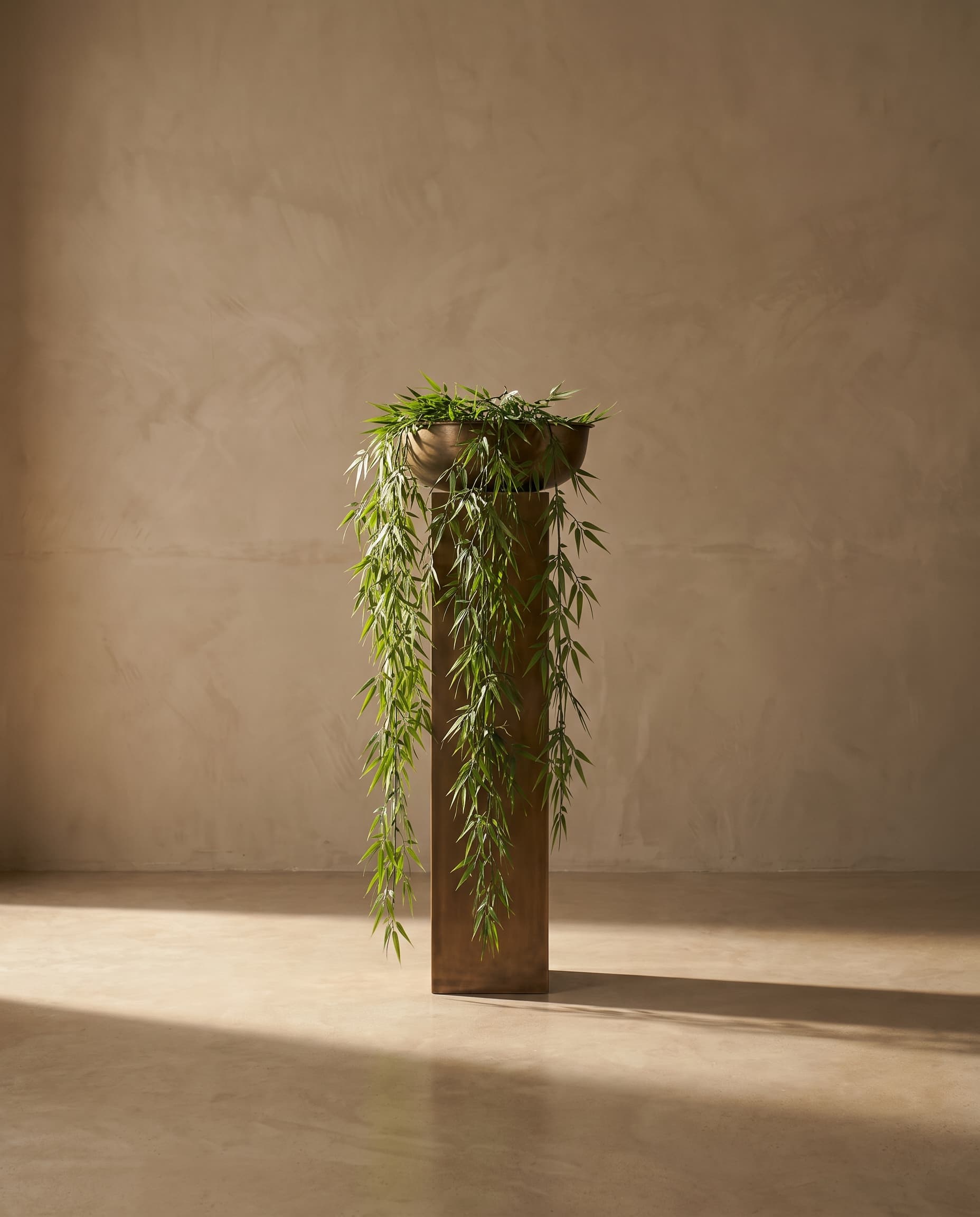 The Narrow Leaf Bamboo hanging plant
