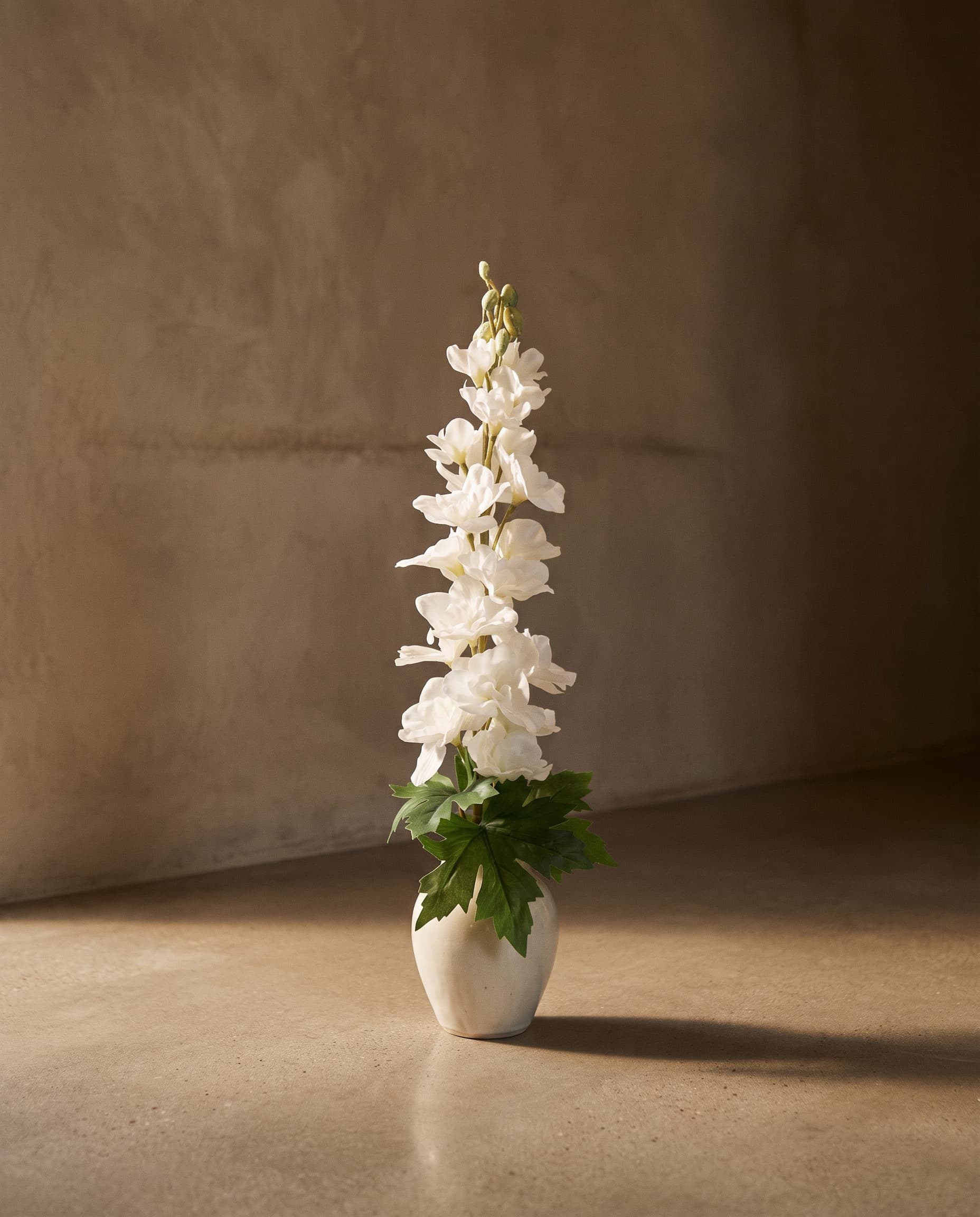 The Delphinium small