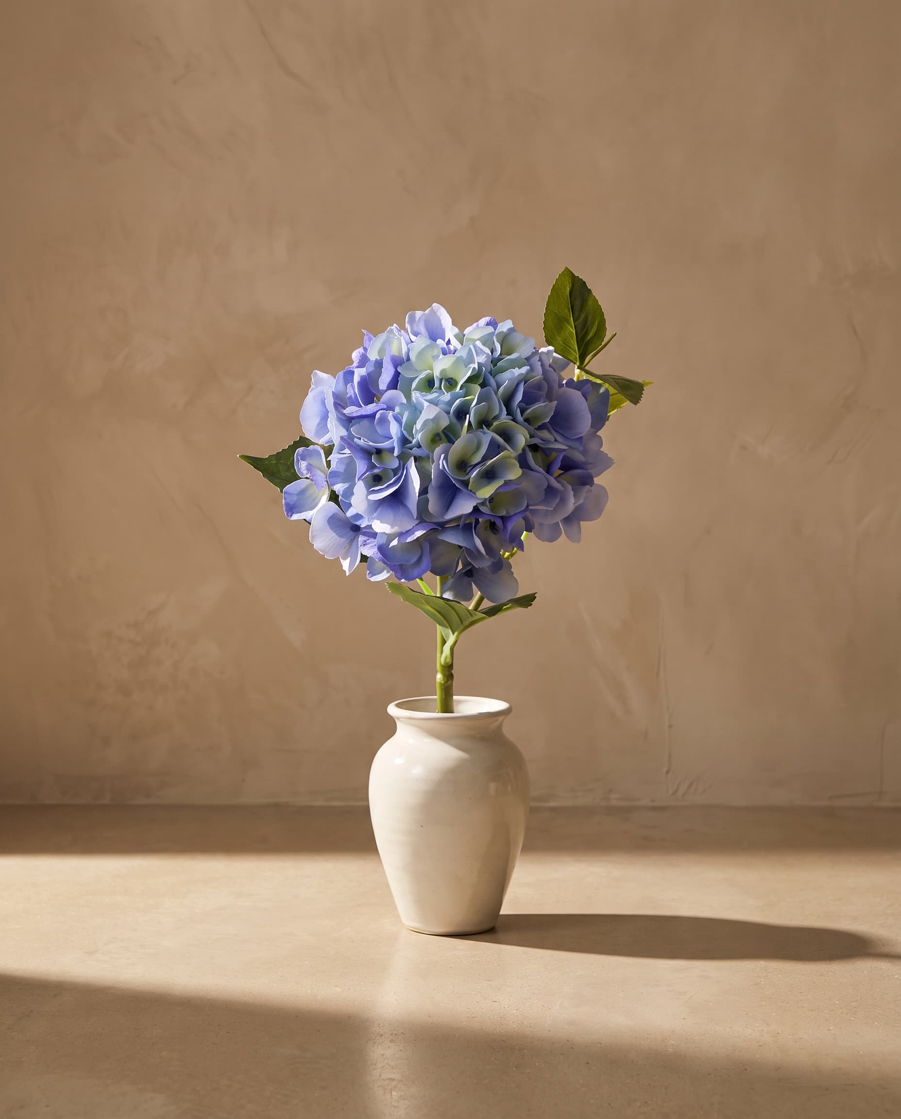 The Hydrangea macrophylla small on the stem