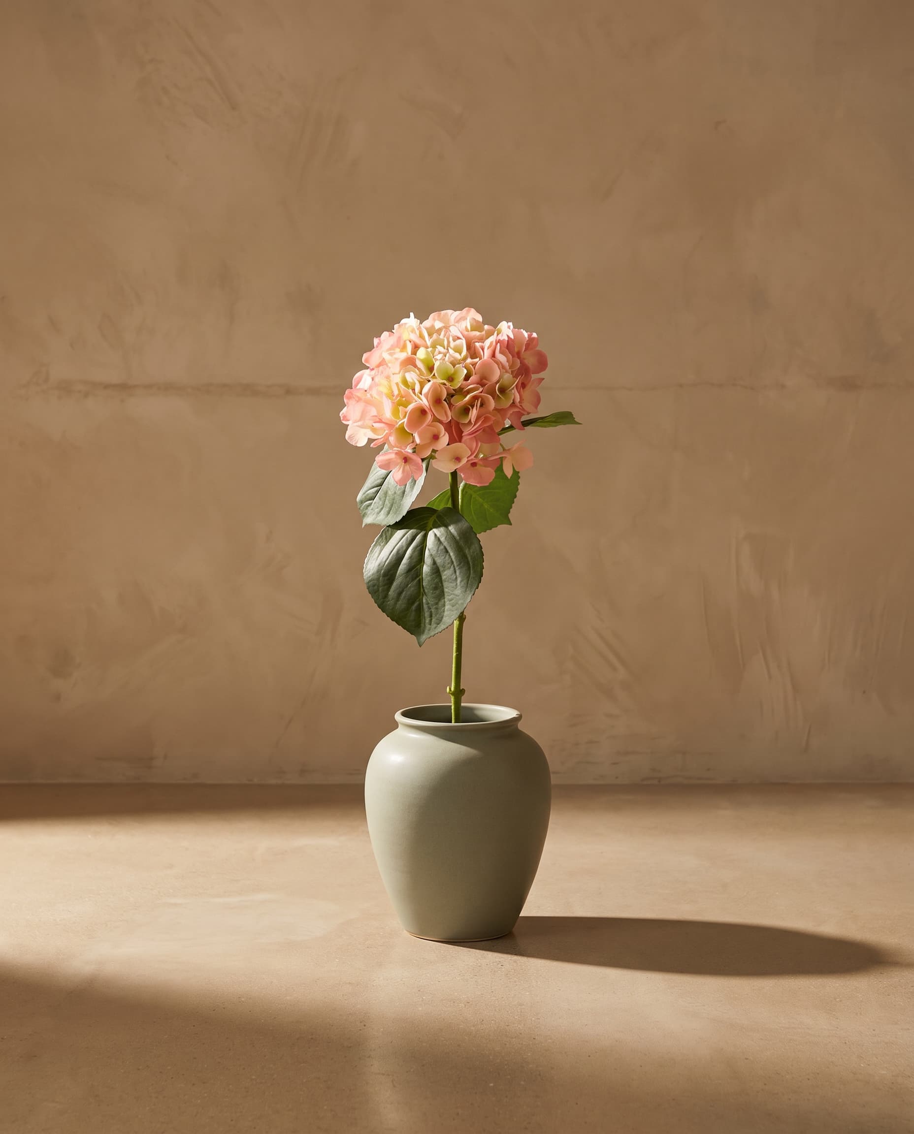 The Hydrangea macrophylla on the stem
