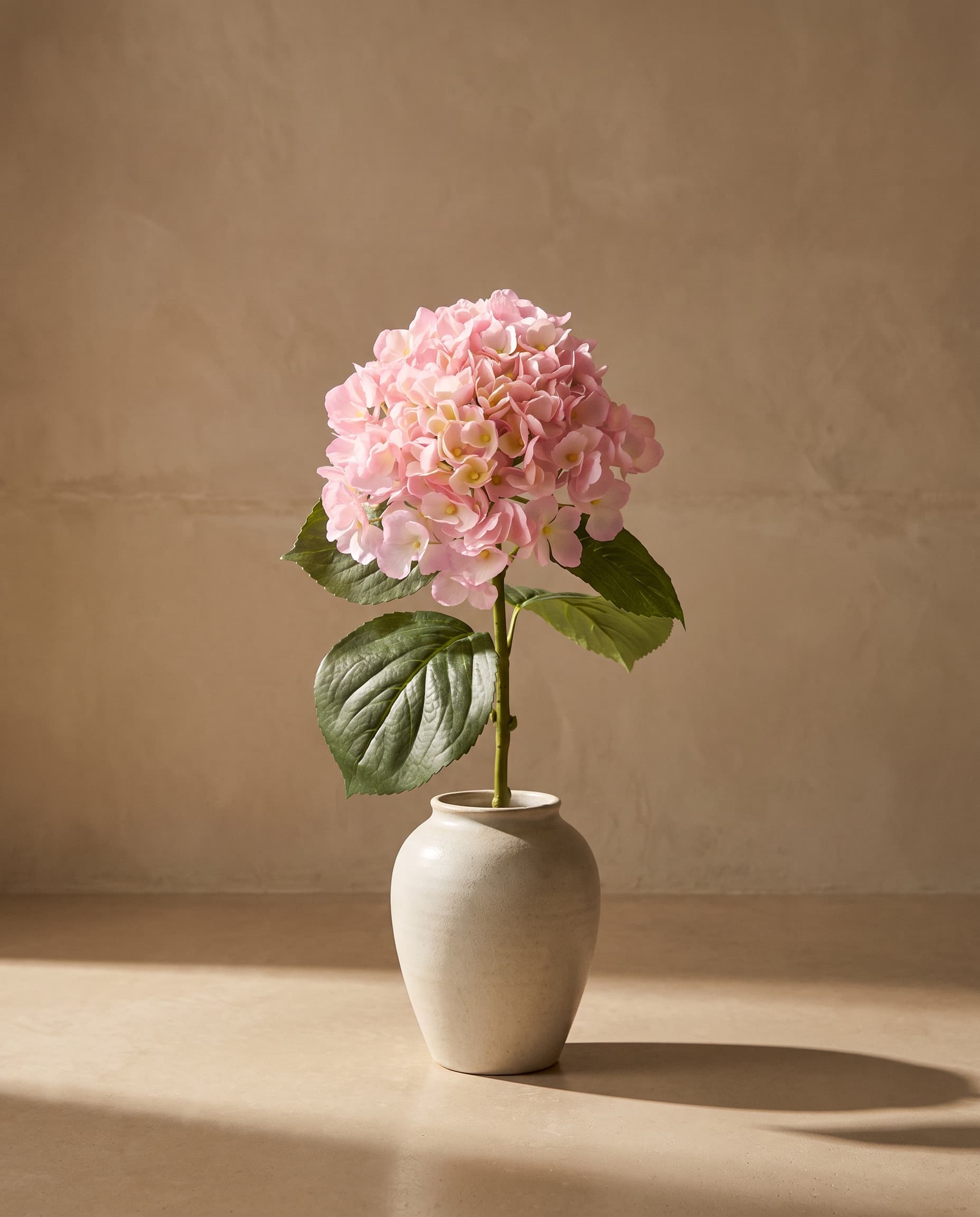 The Hydrangea macrophylla on the stem