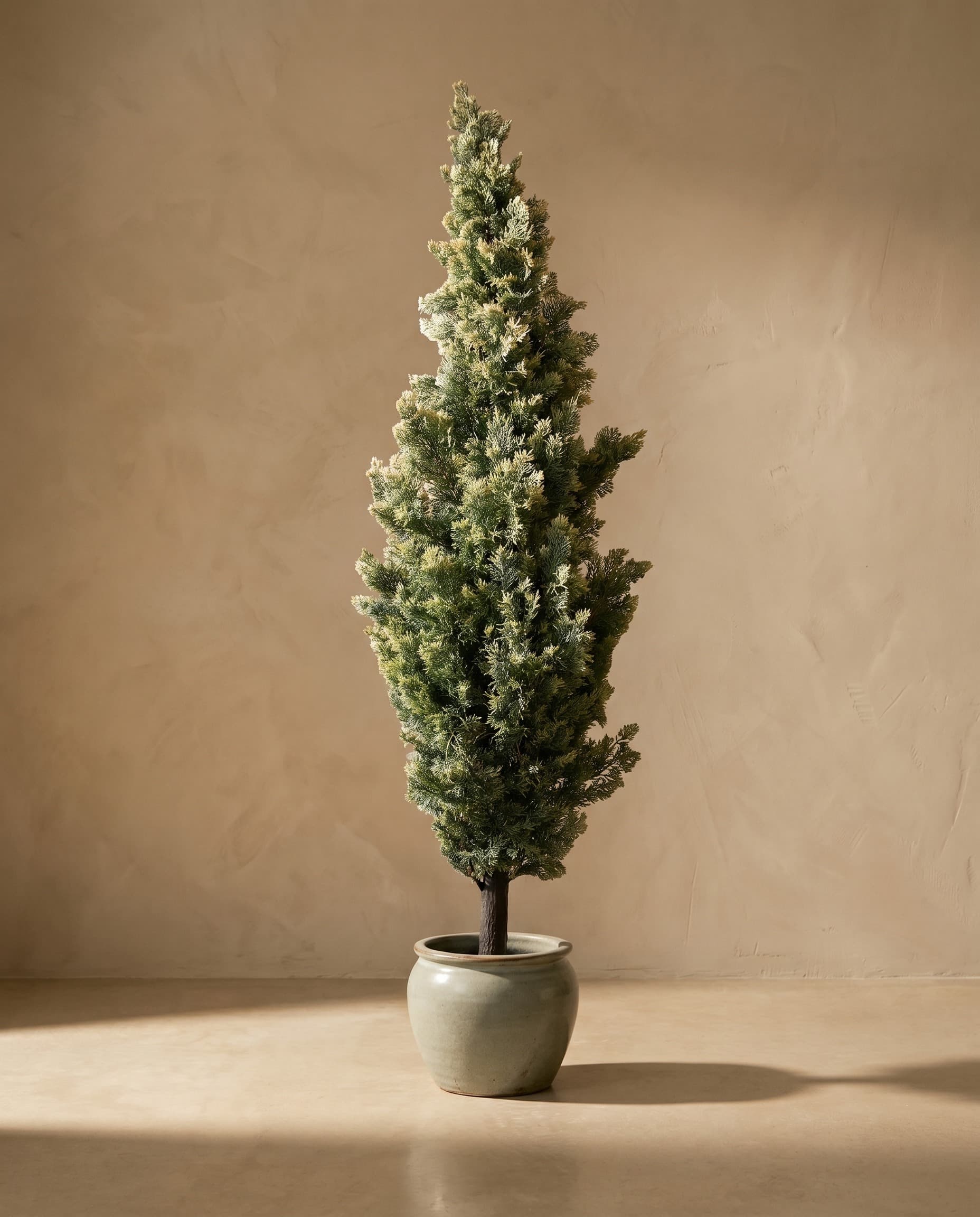 The Juniper · 1.5m · Frosted