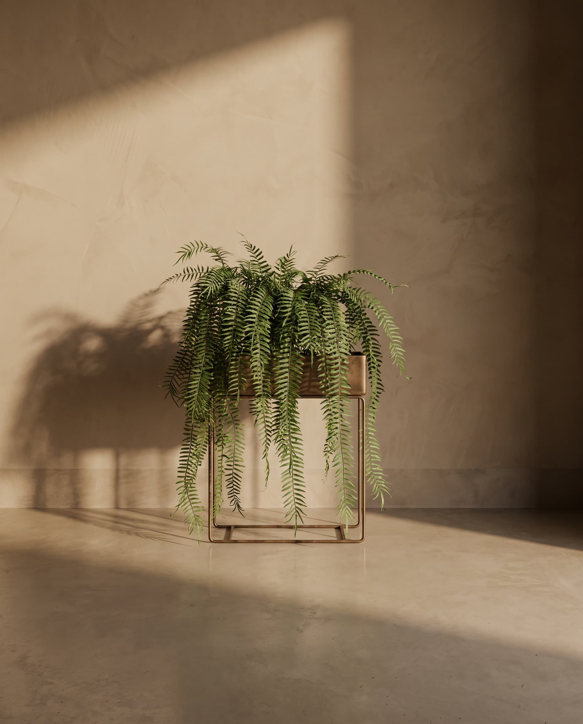 The Polypodium long hanging fern