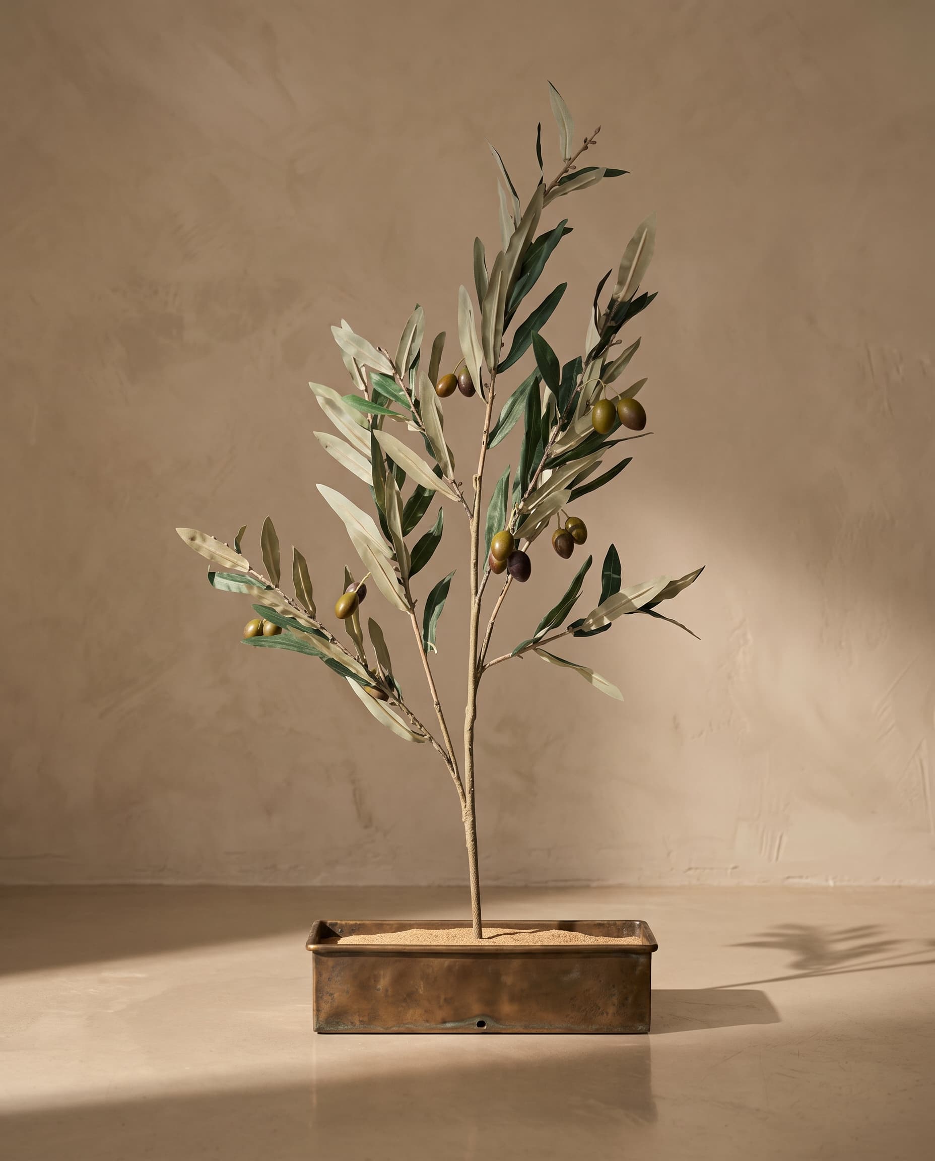 The Olive branch with fruits with UV protection · 81cm