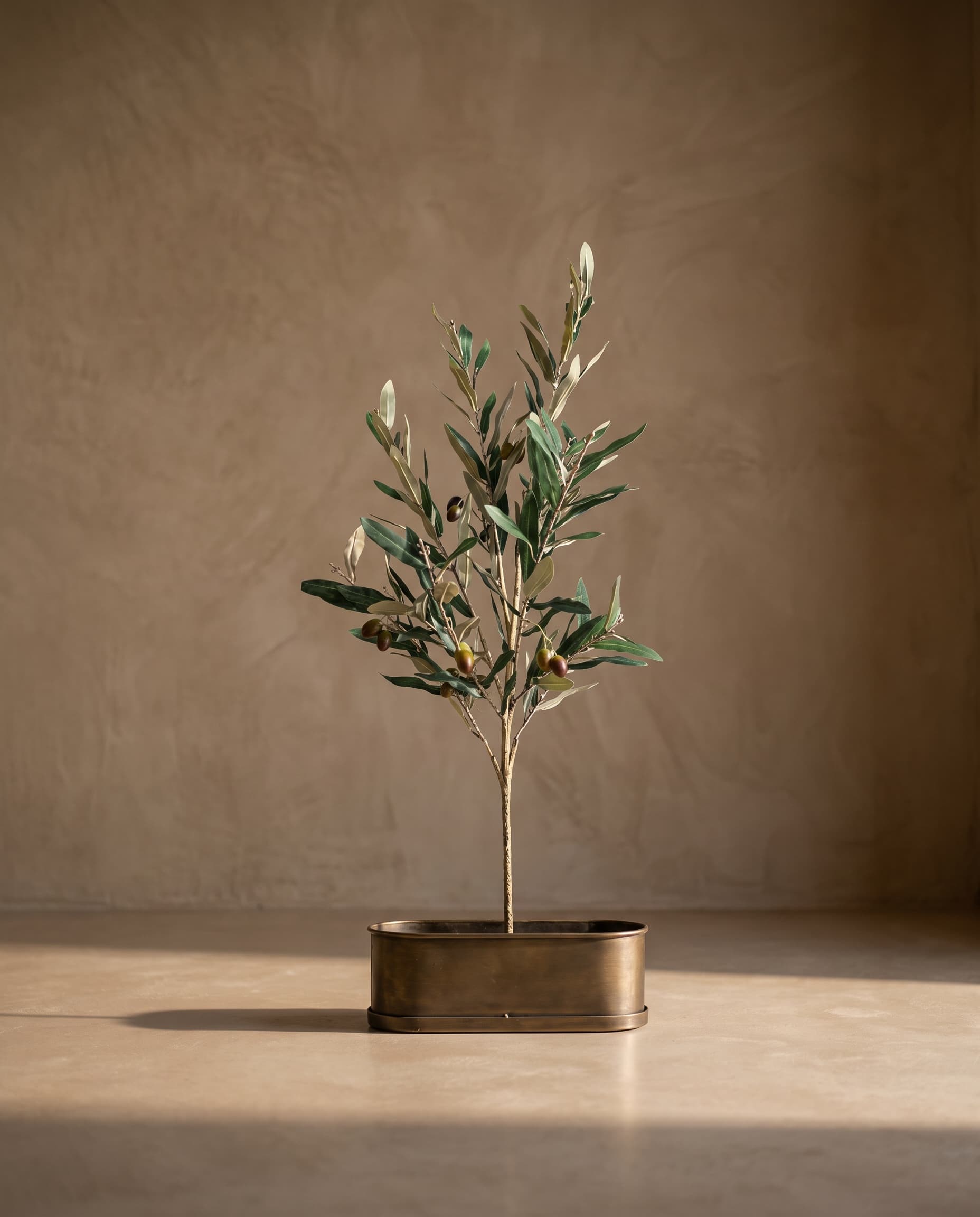 The Olive branch with fruits with UV protection · 1.4m