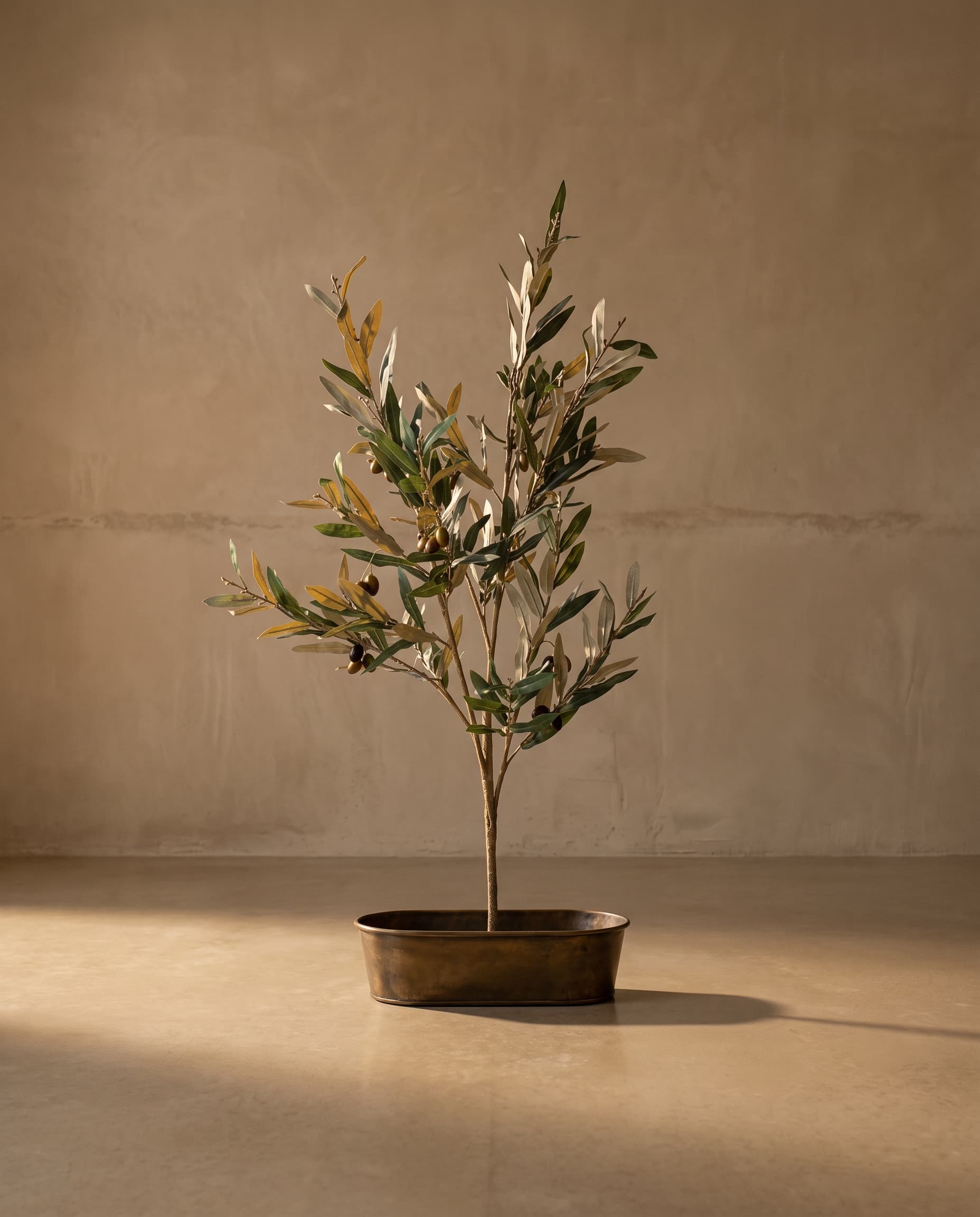 The Olive branch with fruits with UV protection · 1.4m