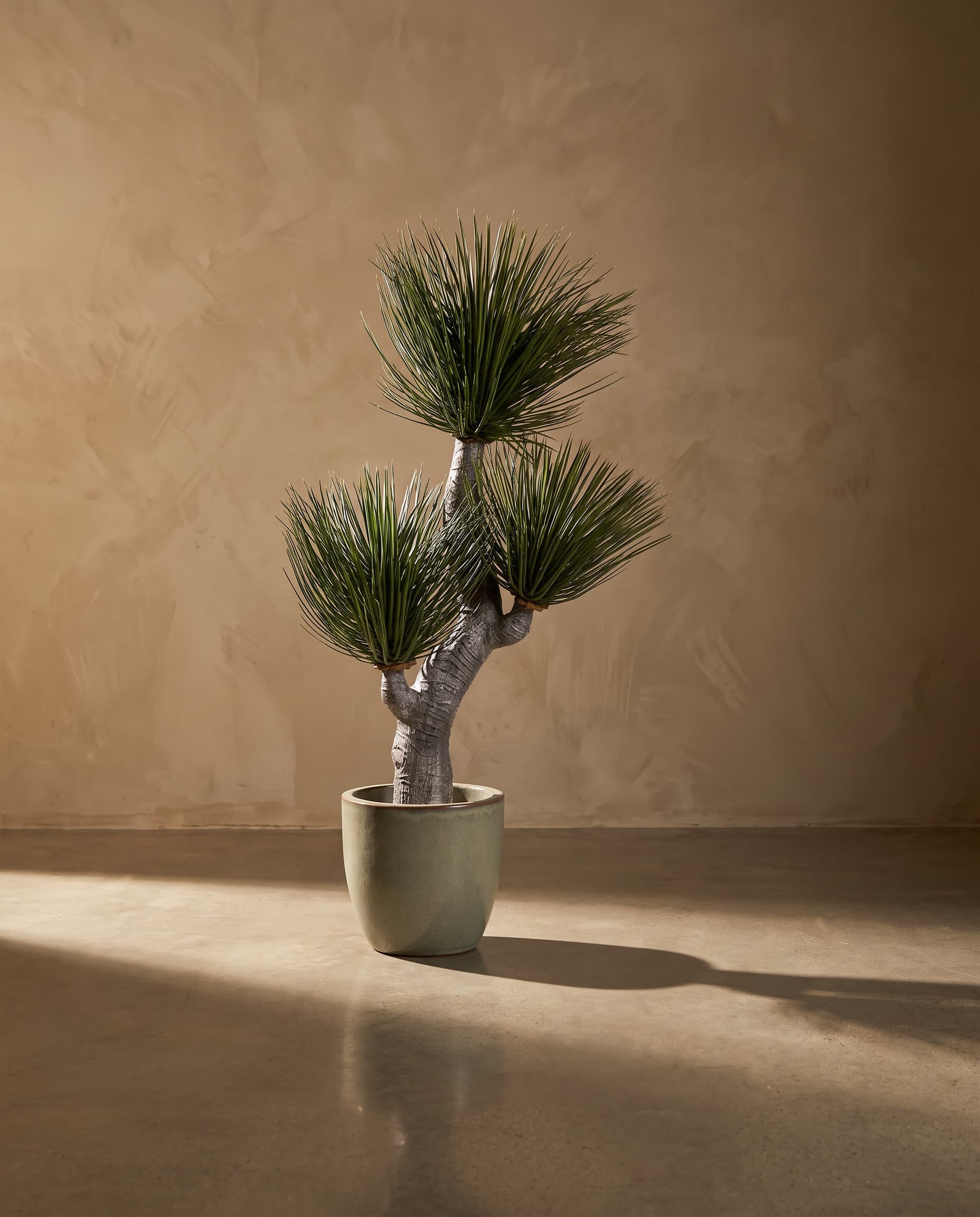 The Statement Tree
