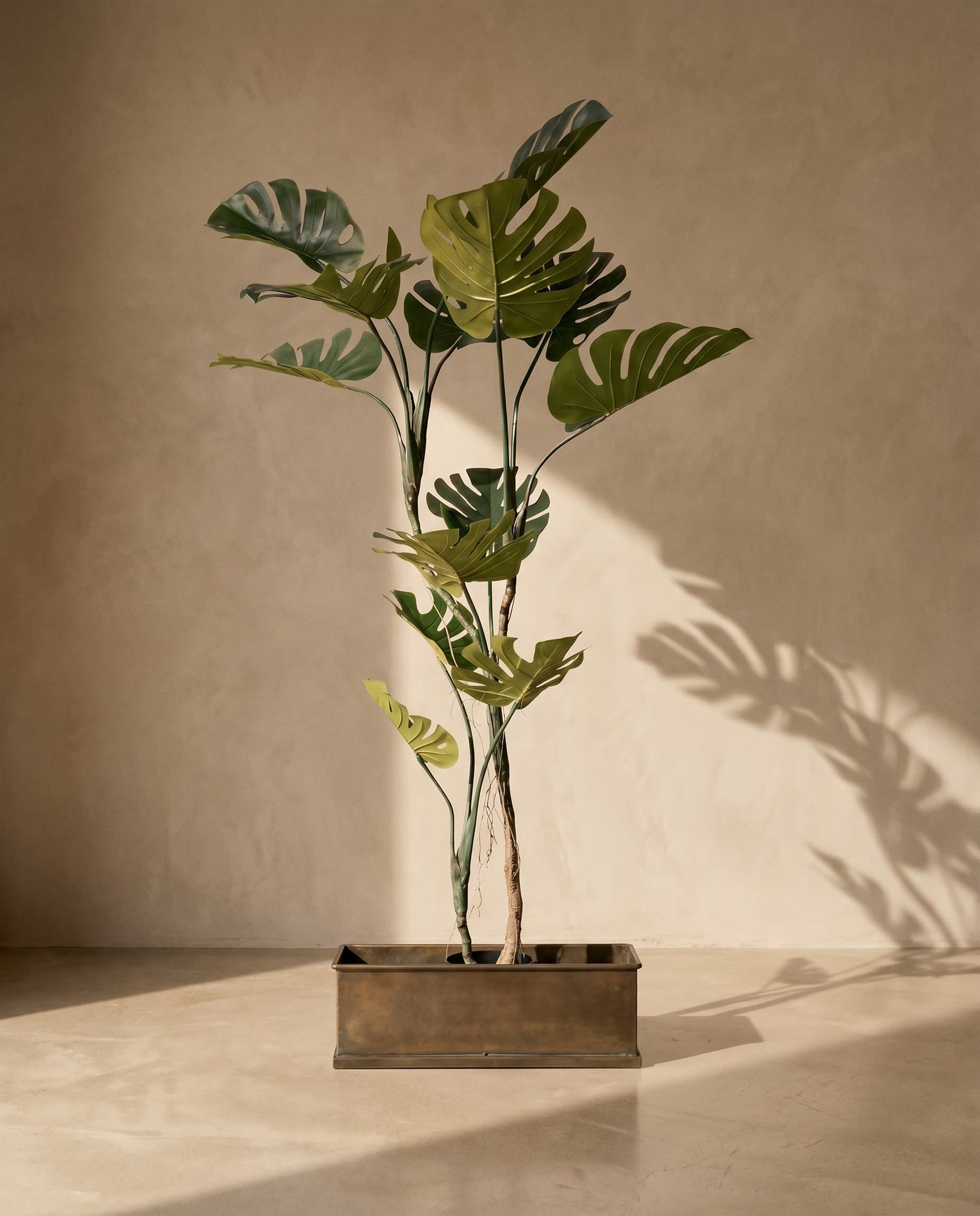 The Verdure — featured piece