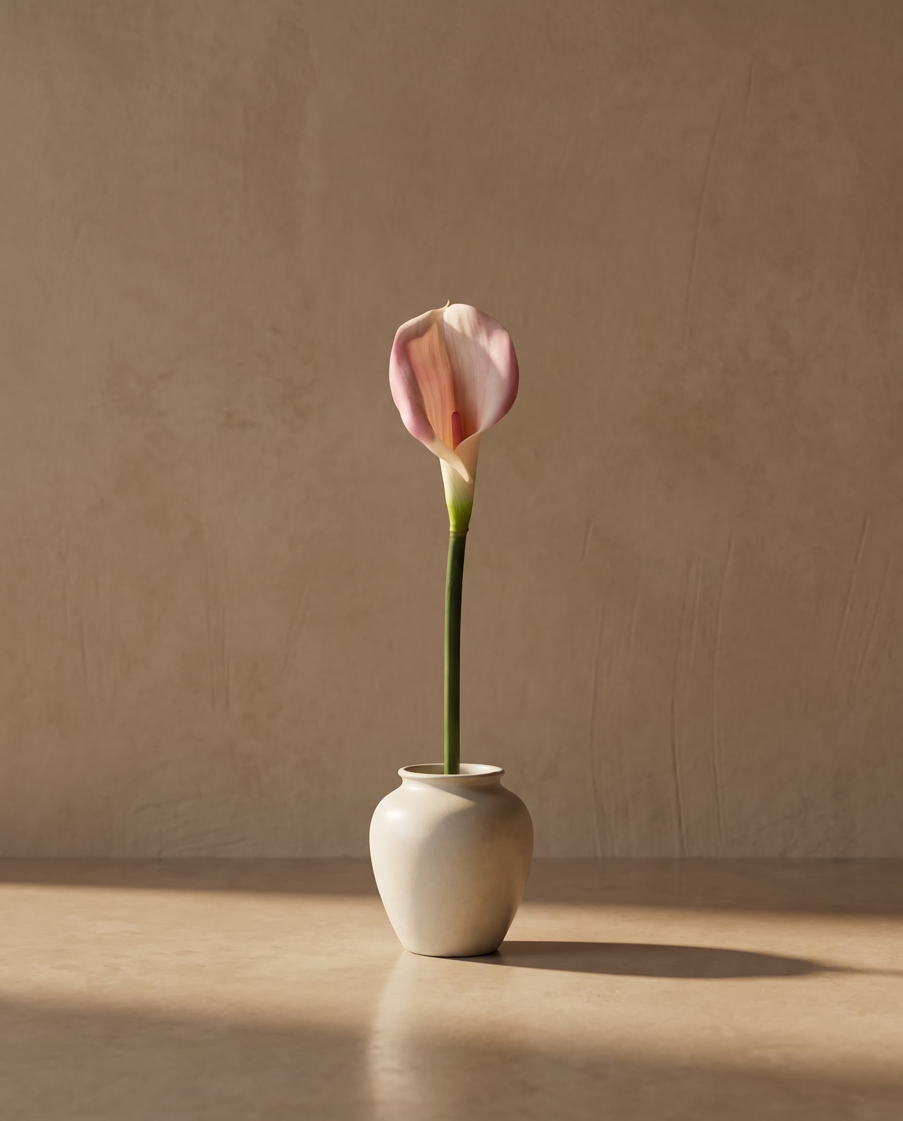 The Calla Lily Premium