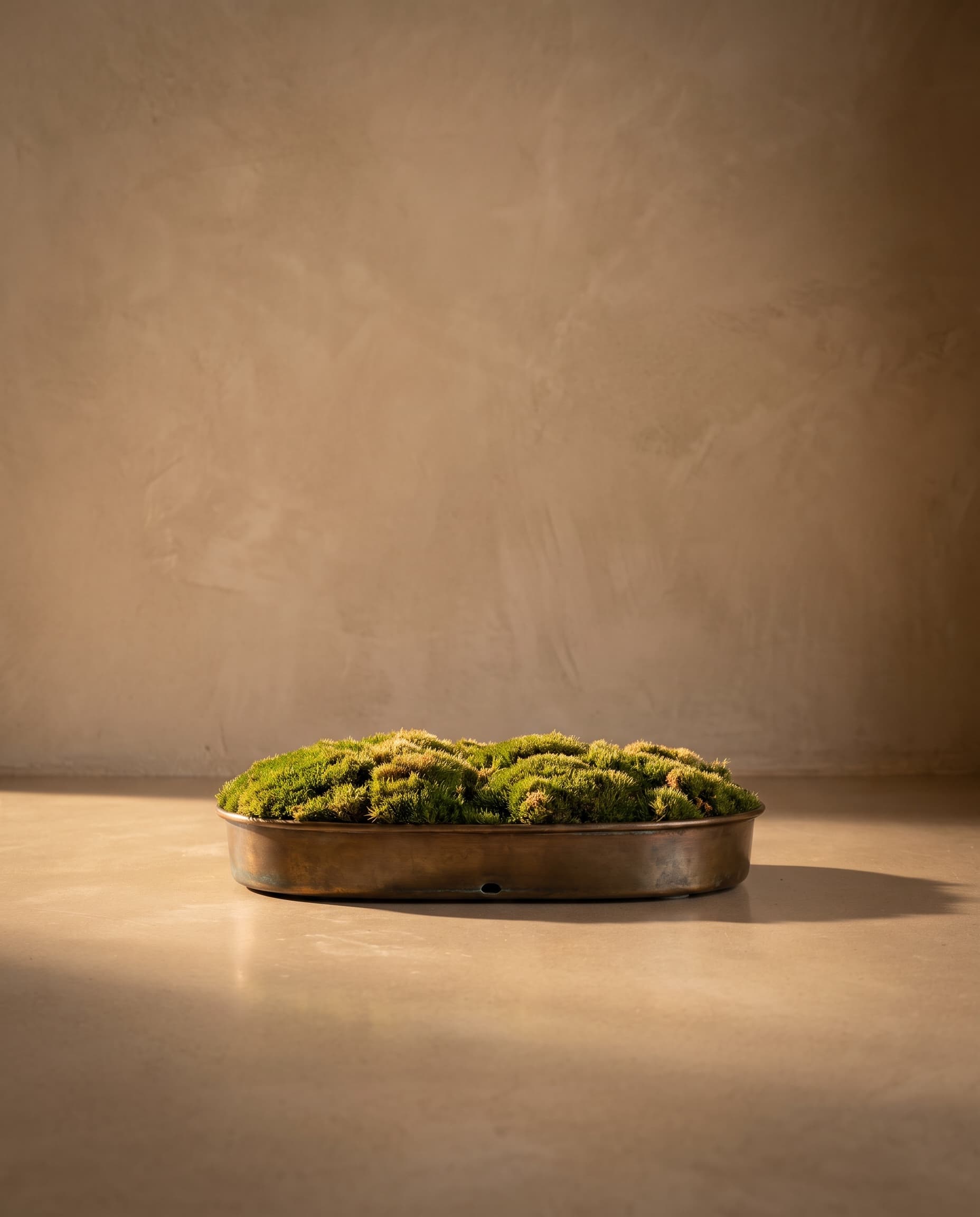 The Moss with Synthetic Insulation 003, m · 1m